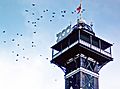 Copenhagen Zoo Tower (1106238343)