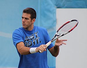 Del potro Queens 2013