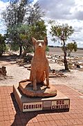 Dog cemetery