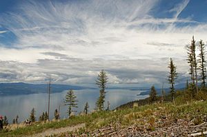 Flathead Lake.jpeg