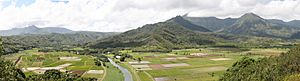 Hanalei Valley from the Hanalei Lookout in Hanalei, Hawaii