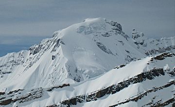 Icefall Peak, Canadian Rockies.jpg