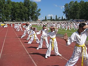 JJS Karate Kids