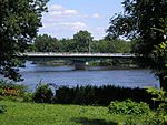 Jacques-Bizard Bridge seen between trees.