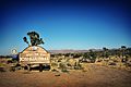 Joshua Tree Welcome Sign