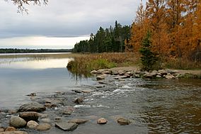 Mississippi River at Itasca.jpg