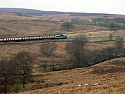 NYMR diesel train