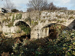 Old Milltown Bridge (geograph 7076169)