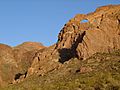 Organ pipe cactus arches