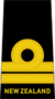 Lieutenant