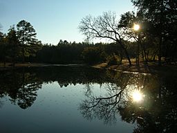 Reflection over lake aiken sc.jpg