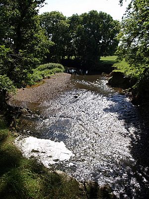 River Lew below Hatherleigh - geograph.org.uk - 533727