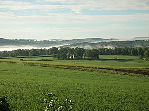 Skaneateles Countryside