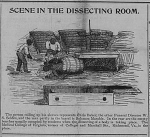 Solomon Marable dissection