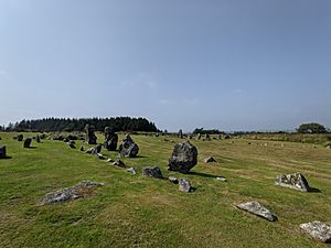 Stone row at Beaghmore.