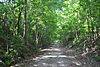 Sulphur Trestle Fort Site