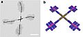 Supramolecular assembly of micelles6