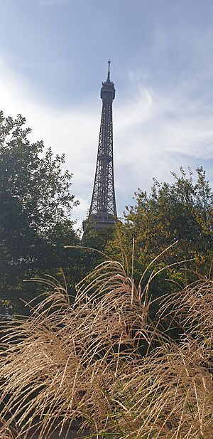 Tour Eiffel vue du jardin du Musée Branly