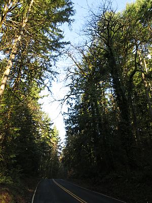 US-WA-Olympia-PriestPointPark-2013.01.12-026.JPG