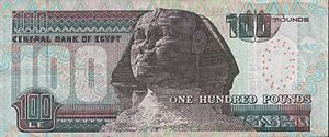 100 EGP reverse 2014-1-26.jpg