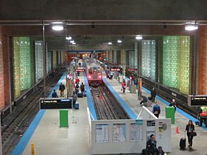 20141007 03 CTA Blue Line L @ O'Hare