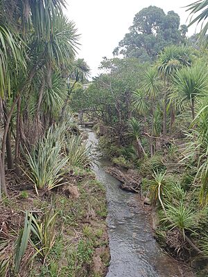 20230215 191628 Waikumete Stream post-flooding