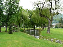 Argelès-Gazost parc thermal (1)