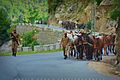 Army in kashmir