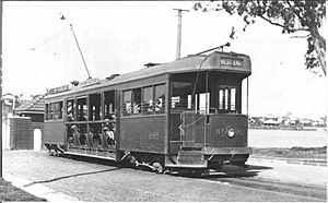 BrisbaneDropcentreTram242NewFarmFerryTerminus1925