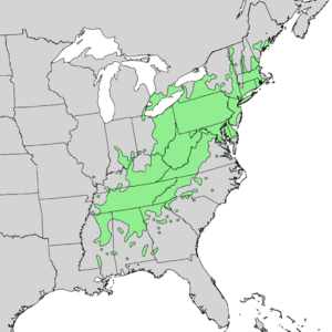 Castanea dentata range map 2.png