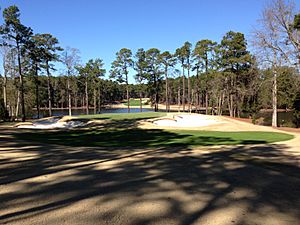 Dogwood13thHole