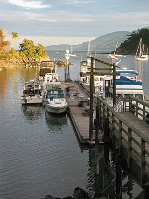 FossilBayDock