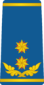 Georgia Air Force OF-8