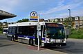 GrandRiverTransit3