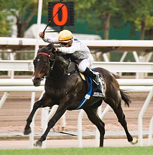 HKIR 20231210 Golden Sixty