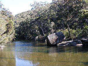 Heathcote National Park 8