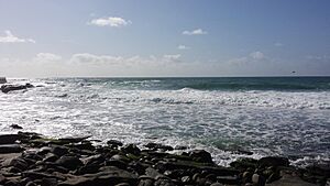 La jolla beach