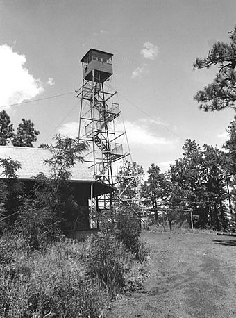 Lake Mountain Lookout Pix-1.jpg