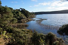 Lake Rototoa New Zealand 2.JPG