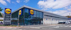 Lidl amadora