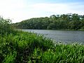 Loch of Fergus, southern end,