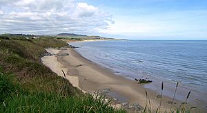 Looking north over brittas bay