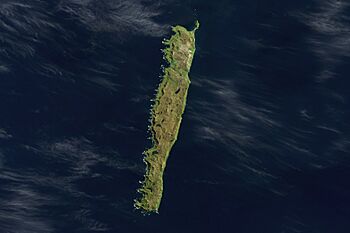 Macquarieisland oli2 2022039 lrg.jpg