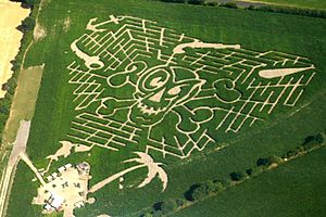 Maislabyrinth in Delingsdorf