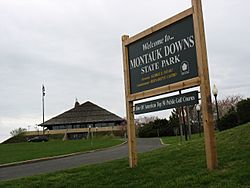 Montauk-downs.jpg