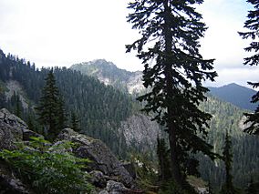 Mtseymour-1.jpg