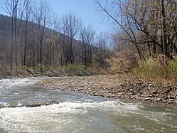 Naples Creek Image