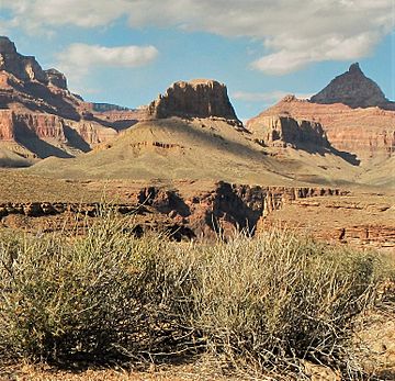 Newberry Butte.jpg