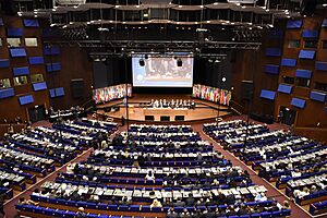 OPCW’s Fourth Special Session of the Conference of States Parties (42967010592)