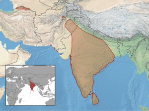 Oligodon taeniolatus distribution.png